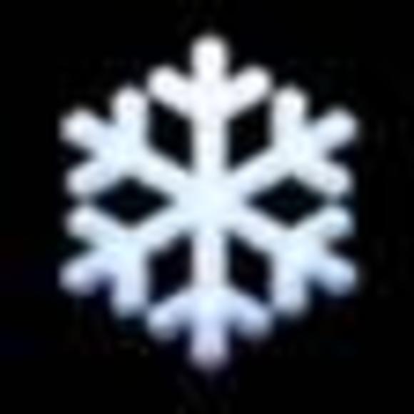 Meet your Posher, Leroy - Picture 1 of 1